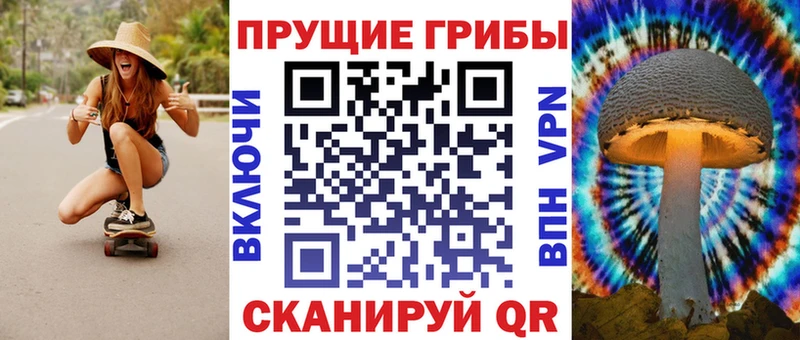 Галлюциногенные грибы Psilocybe  Гуково 